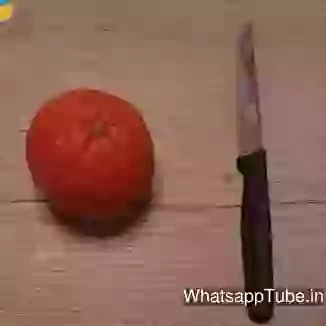 DIYA Best Use From Waste