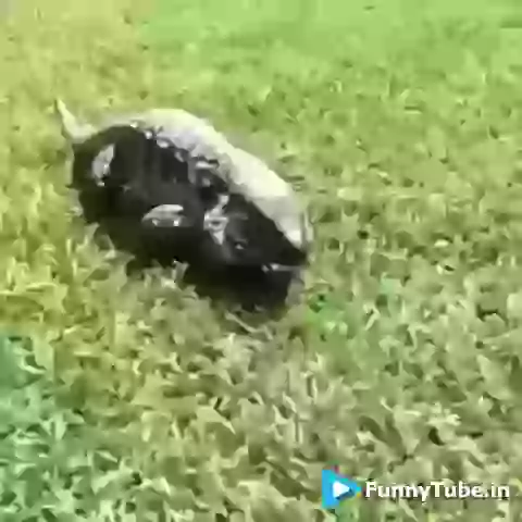 Are Bap Re Girlfriend Ka Video Call Funny