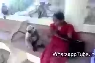 Desi Girls Vs Monkey Funny