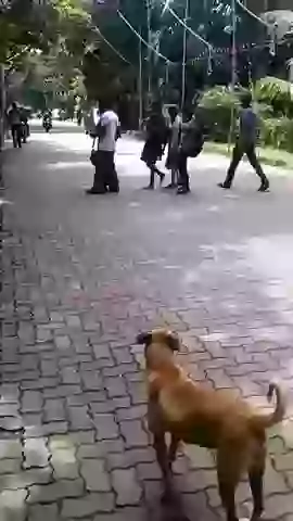 Desi Teen Bike Stunt Fail