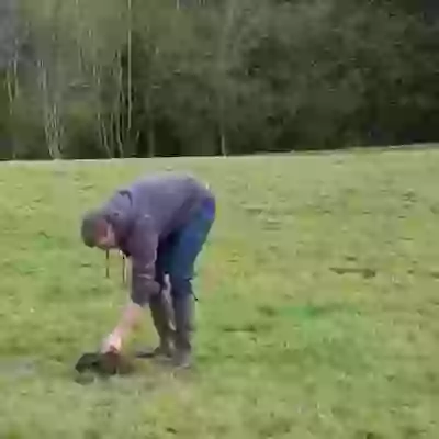 Diwali Special Hamaka Videos