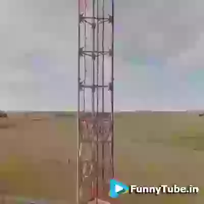 Do You Hate Your Job Watch This Now