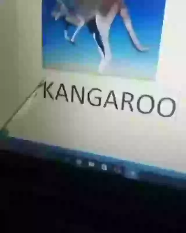 Do you know the name of animal Learn Now