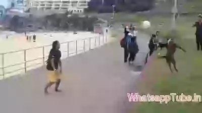 Dog Playing Football