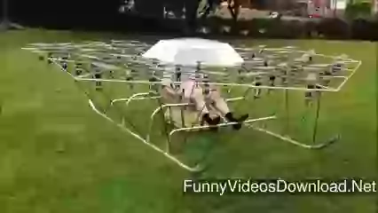 Droaan What You Will Call This