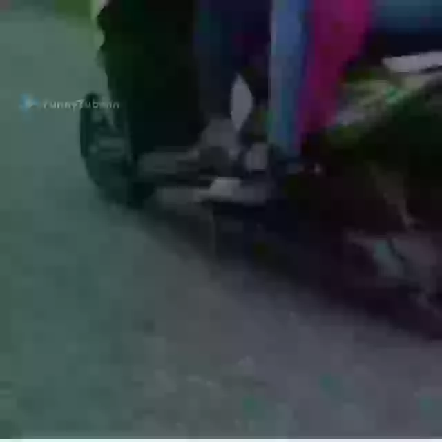 Dumb Girl In The World Funny Girls Status Video