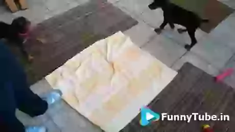 Eat Together Like This Funny GIF