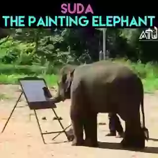 Ever You Seen The Painting Elephant