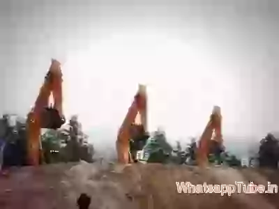 Exavator Dance and Stunts