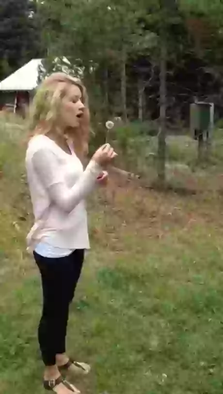 Fail of the april 1st week