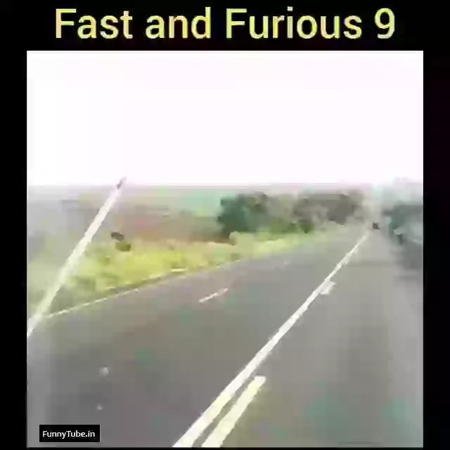 Expectation Vs Reality Cat Version