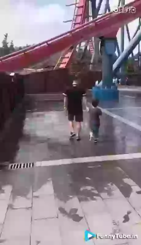 My Sunday Funniest GIF