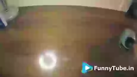 Funniest Fail Learning To Draw