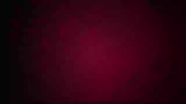 Funny Animals Videos 2017