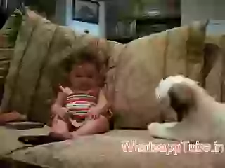 Funny Baby Laughing