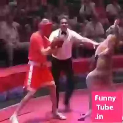 Prank Anaconda Funny Whatsapp Video