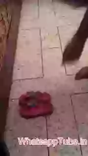 Funny Call From Your Footwear