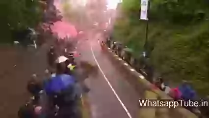 Funny Cardboard Car Racing