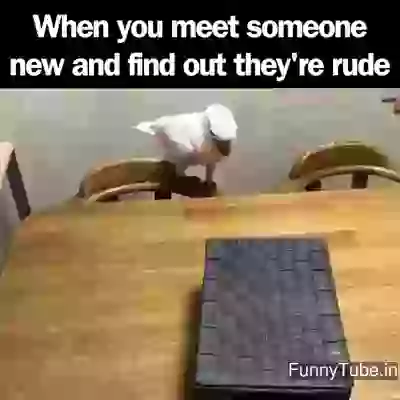 Funny Diwali Celebration