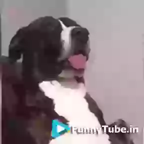 Funny Celebration Fail GIF