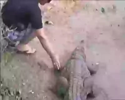 Funny Fail Video Whatsapp