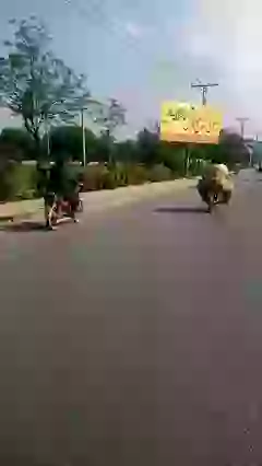 Funny Jadoomal Riding