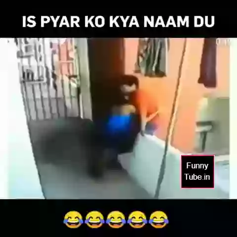 Funny Love Birds Fall Into Love WOW