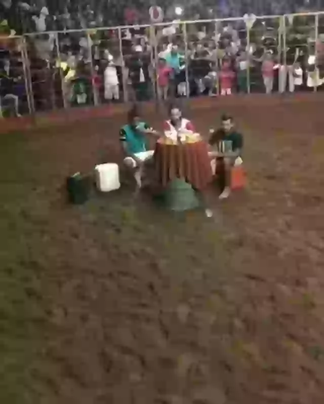 Funny Moments Funny Bull Fights Video