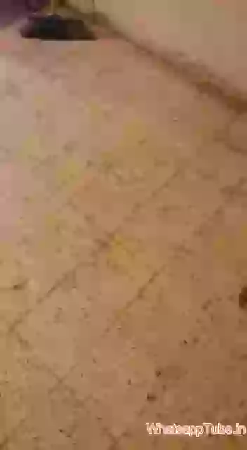 Funny Prank Friend with Snake