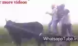 Funny Punjabi Dance Goes Wrong