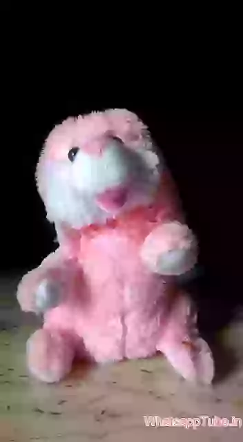 Funny Rabbit Toy For Kids