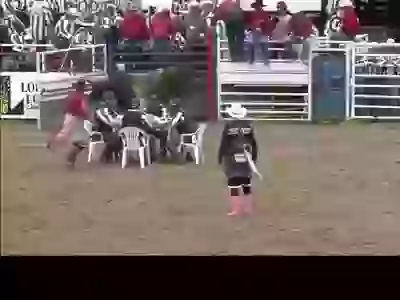 Funny Seating In Front Of Bull