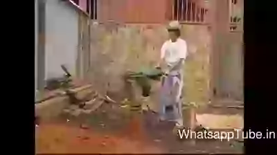 Funny Sexy Vibration All The Way