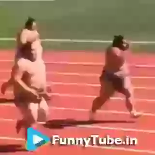Funny Sumo Race