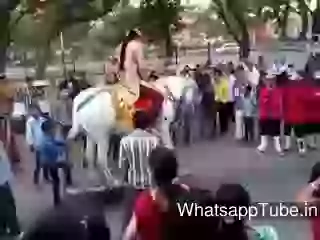 Funny Video Ghode Ki Puch Pe Bandar