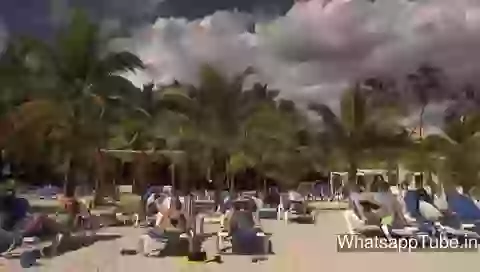 Funny Video How To Carry Chillar