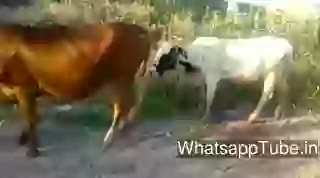 Funny Video Tu Abhi Chota Hai Re