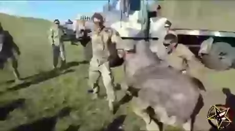 Funny Whatsapp GIF Air Force Training