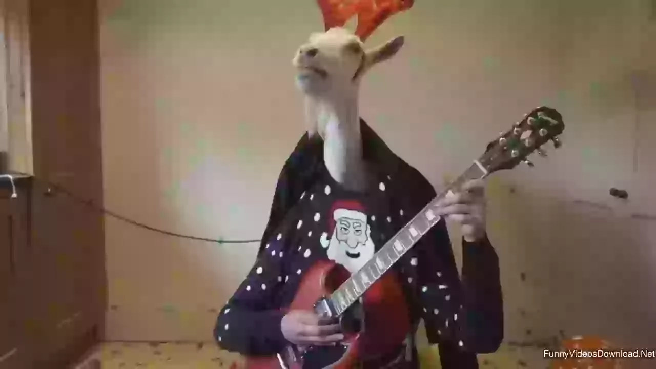 Funny You Got Guitar