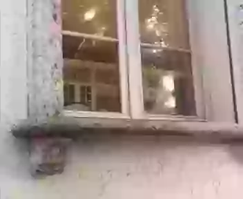 Funny call to girlfriend