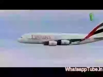 Funny flight