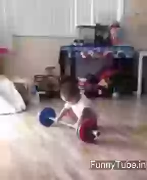 Funny kid champ boxer gif
