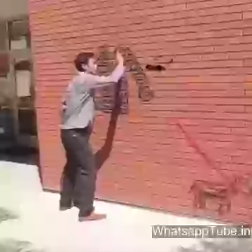 Funny video magic whatsapptube