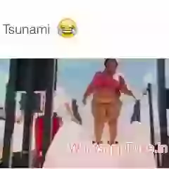 Gai Bhais Pani Me LOL