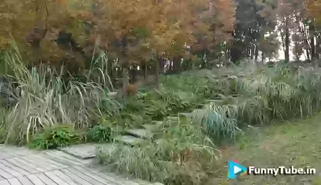 Gayab Karne wala Magical Paper Amazing