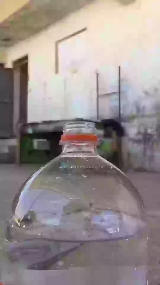 Getting In The Bottle Funny Animated Boys Status