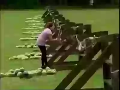 Girl Funny Fail In The Game