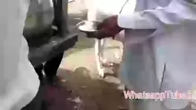 Goat having panipuri