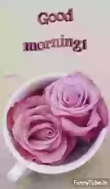 Goo Morning Lovely Whatsapp GIF