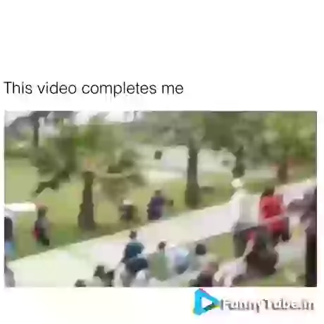 Good Job Doggi Dog Stunt Video